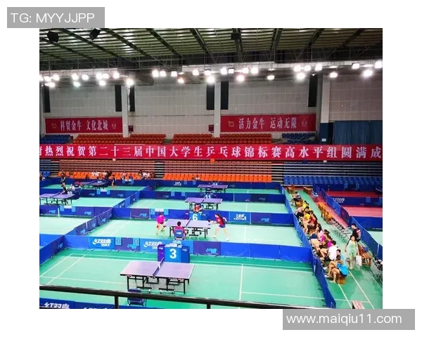 西安乒乓球队进攻策略分析及其成效评估探讨