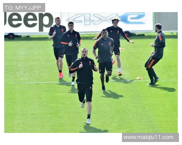 热议广州排球队战术变革与欧冠足球的精彩对比与启示