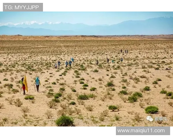 南京极限运动队在运动城市马拉松中的灵活性表现与体育精神的深度探讨