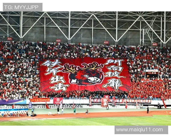 赵娜深度解析足球战术与技巧独家分享让你领略不一样的比赛魅力