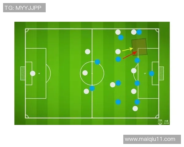 体育实时数据深入分析南京排球队防守策略与战术特点的专业解读 体育实时数据深入分析南京排球队防守策略与战术特点的专业解读