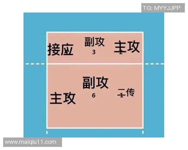 今年运动数据重庆排球队进攻战术解析与球队发展现状探讨 今年运动数据重庆排球队进攻战术解析与球队发展现状探讨