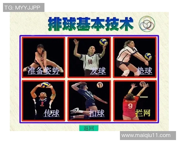 实时新闻南京排球队的战术控制与发展趋势深度解析